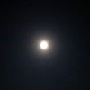 9月20日　夜の声の画像