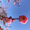２月は逃げます、先手で行動しましょうの画像
