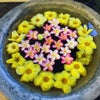 今行きたい国の画像