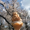 東京在住のインド人の感覚の画像
