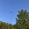 5/6のおはようのこえ☆の画像