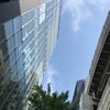 5/26のおはようのこえ☆の画像