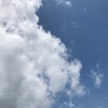 7/23のあさのこえ☆の画像