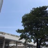 5/25のあさのこえ☆の画像