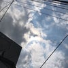 6/19のあさのこえ☆の画像