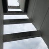6/28のお昼のこえ☆の画像