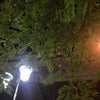 7/1のおやすみのこえ☆の画像