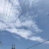 7/17のあさのこえ☆の画像
