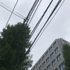 4/26のあさのこえ(昼)の画像