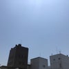 5/24のあさのこえ☆の画像