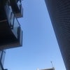 5/10のおはようのこえ☆の画像