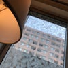 5/22のおはようのこえ☆の画像