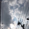 6/20の昼間のこえ☆の画像