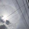6/4のあさのこえ☆の画像