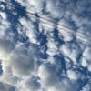 11/15のあさのこえ☆の画像