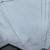 11/26あさのこえ☆の画像
