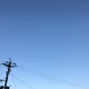 3/25のおはよう〜の画像
