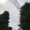 6/5のあさのこえ☆の画像