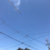 5/30のお昼のこえ☆の画像