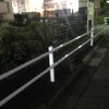 9/19のあさのこえ☆の画像