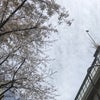 4/14のあさのこえの画像