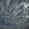 11/13のあさのこえ☆の画像