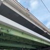 8月9日のこえの画像