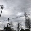 3月23日のこえの画像