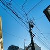11/29のあさのこえ☆の画像