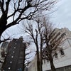 1/22のあさのこえ⁽⁽ଘ( ˊᵕˋ )ଓ⁾⁾の画像