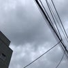 5/22の朝のこえ☆の画像