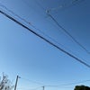 11/16のあさのこえ☆の画像