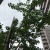 4/25のおはよう☆の画像