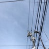 6/27のおはようのこえ☆の画像