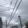 4/29のあさの声☆の画像