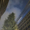 8月24日のこえの画像