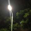 6/13のおやすみのこえ☆の画像