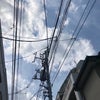 4/2のこえ(((o(*>ω<*)o)))の画像