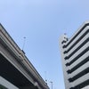 8/1の昼のこえ☆の画像