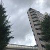 8/14の昼のこえ☆の画像