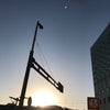 5/22のおやすみのこえ(二度寝)の画像