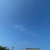8/16の朝の声☆の画像