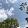 5/13のあさのこえ☆の画像