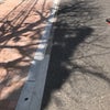 4/6のあさ☆の画像