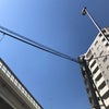 4/16のおはようのこえの画像