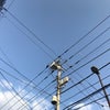 5/2のあさのこえの画像