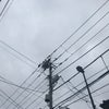 7/10のあさの声(*ﾉ∀`*)の画像