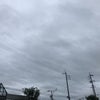 7/14のあさのこえ☆の画像