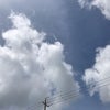 6/25のあさのこえ ヾ(o´∀｀o)ﾉの画像