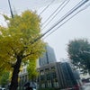 12/2の昼のこえ☆の画像